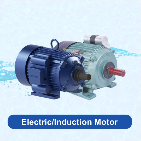 Electric or Induction Motor